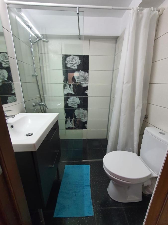 Bucharest Central Majestic Apartment エクステリア 写真